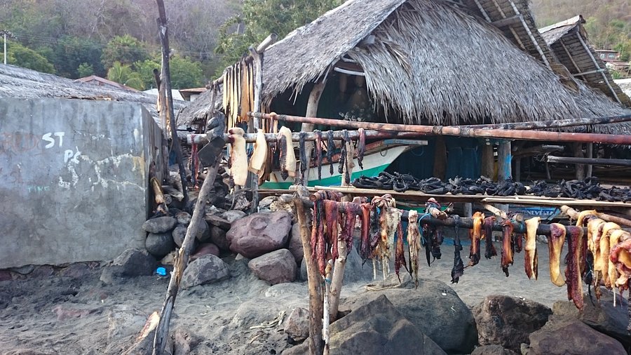 Kampung Adat Lamalera Alor