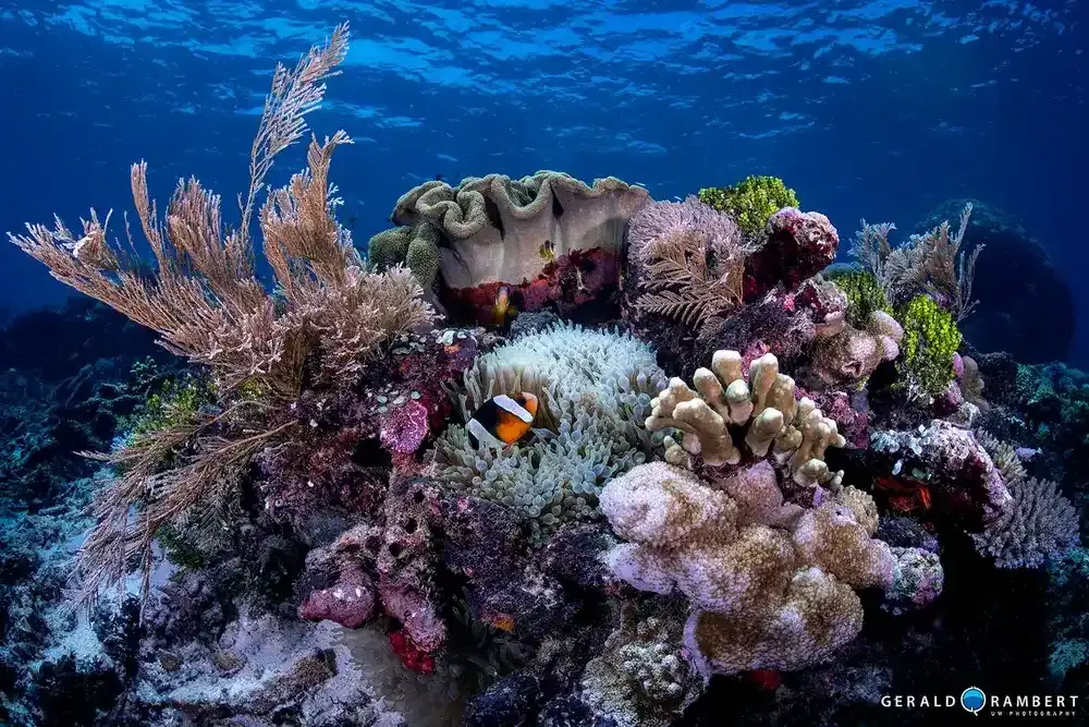 Pulau Siaba Besar Labuan Bajo